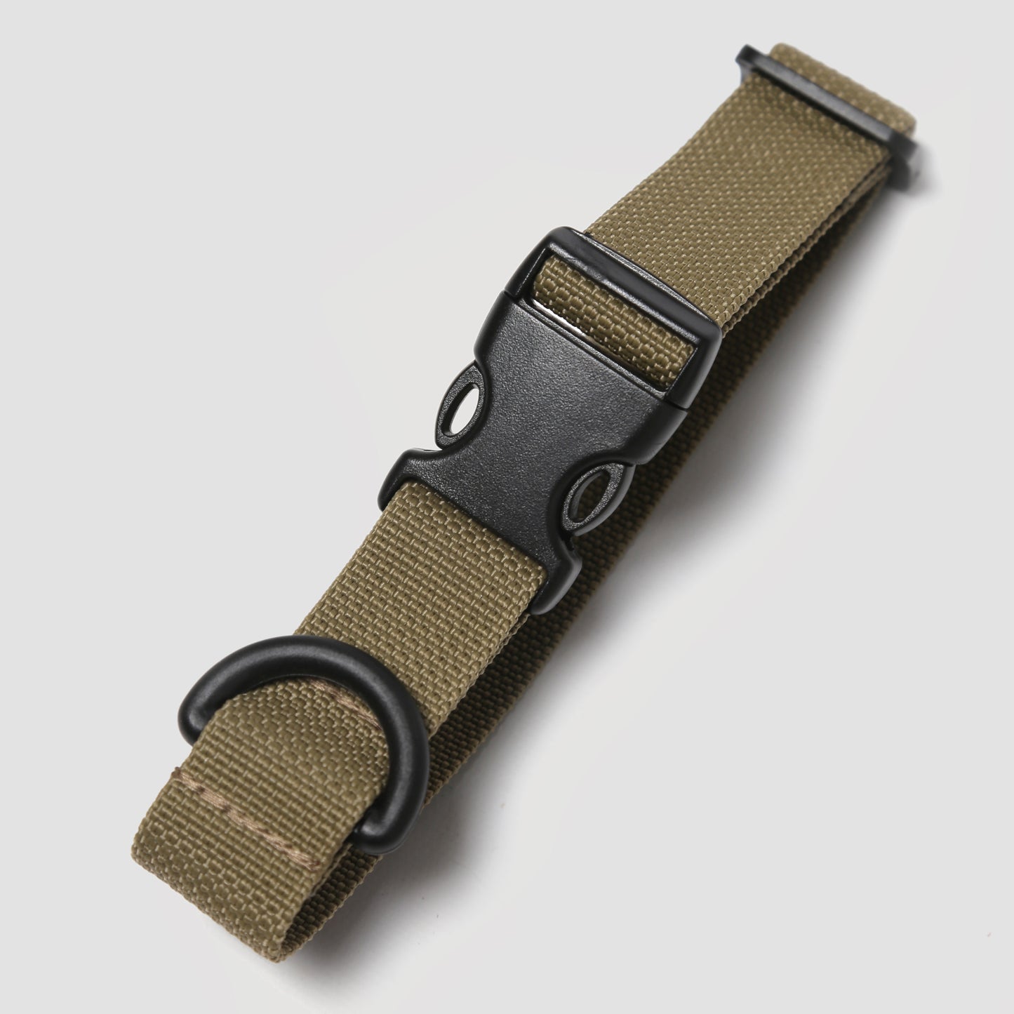 Nylon Dog Collar // Forest Green