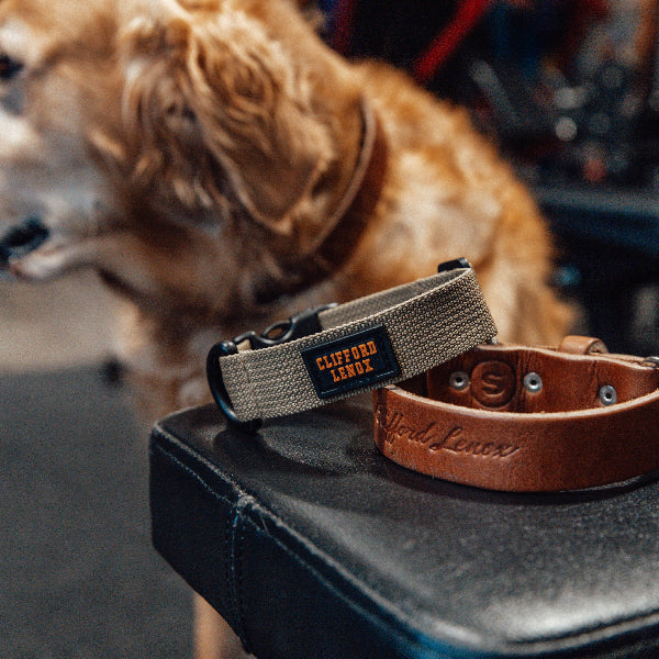 Leather Dog Collar // Brown Leather