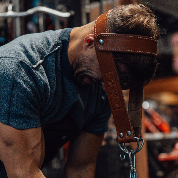 Leather Head Harness // Brown Leather