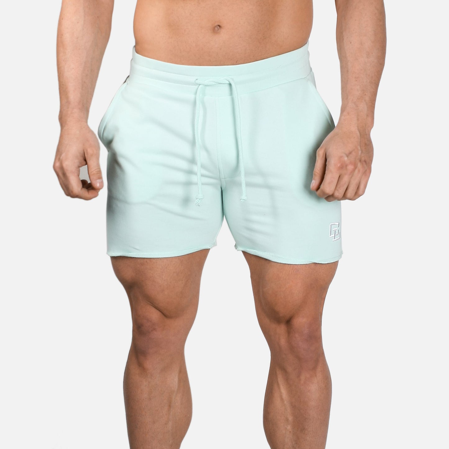 Leg Day Shorts 2.0 // Mint