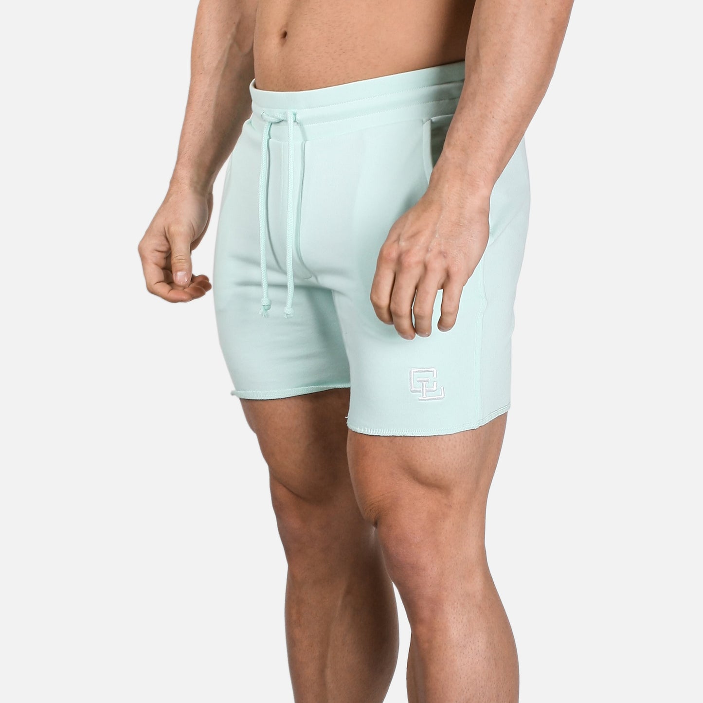 Leg Day Shorts 2.0 // Mint