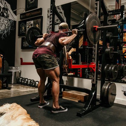 Leg Day Shorts 2.0