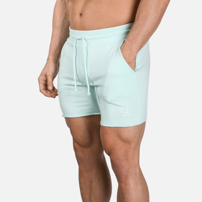 Leg Day Shorts 2.0 // Mint